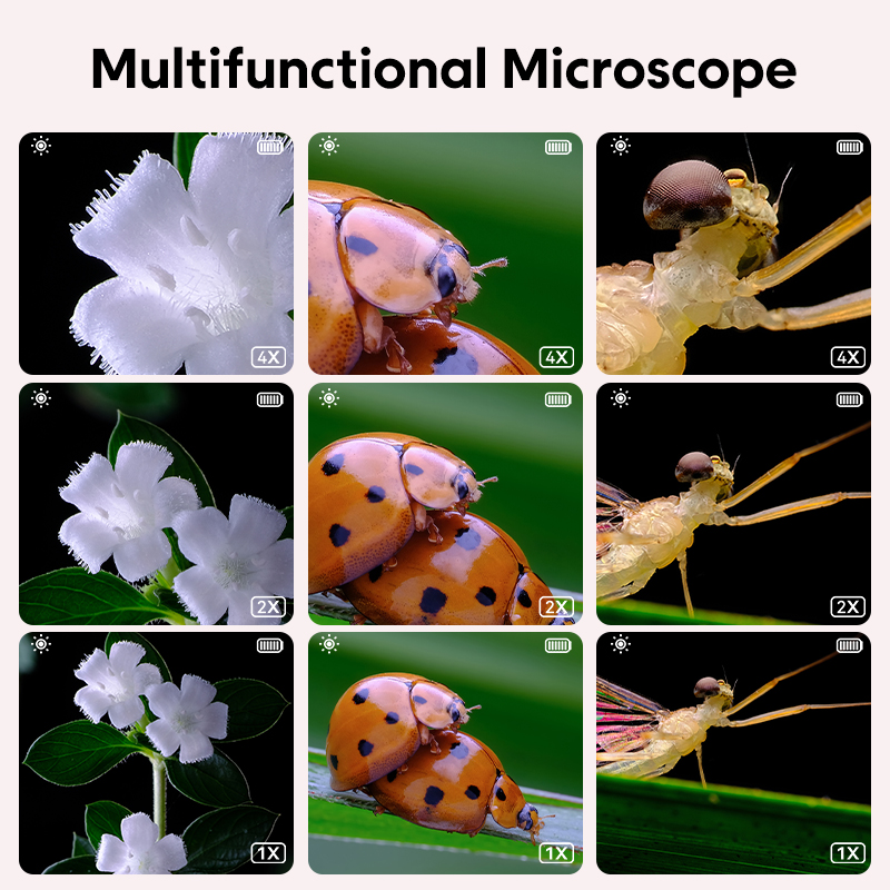 Мини-детский оптический микрос – обзор и цена Microscope Kids Science